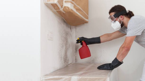 Professional Crawl Space Mold Remediation technician working in Carol Stream, IL